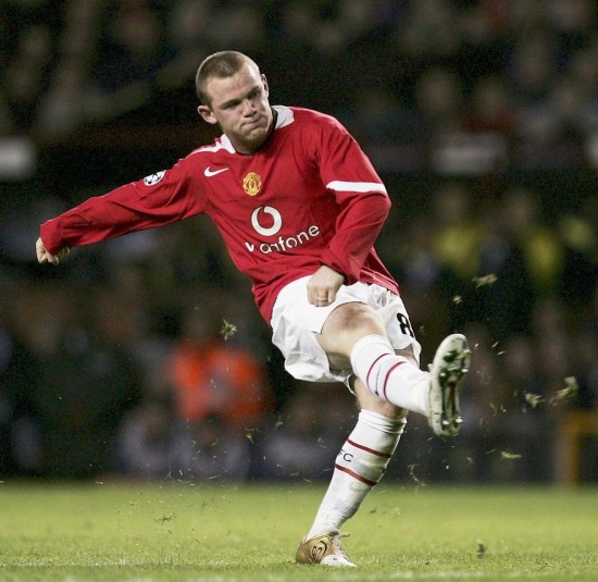 10吨植物油精炼设备