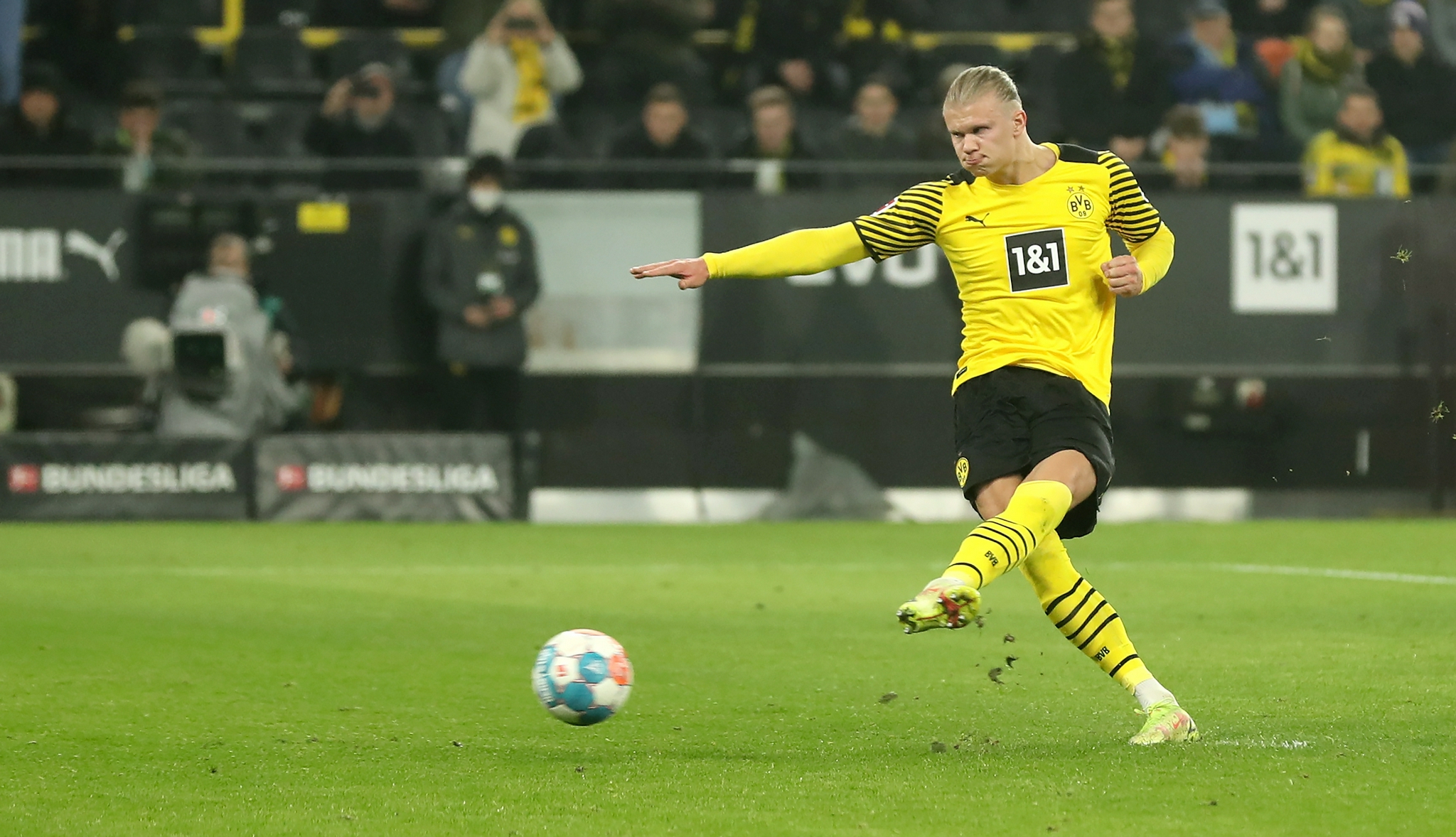 10吨植物油精炼设备