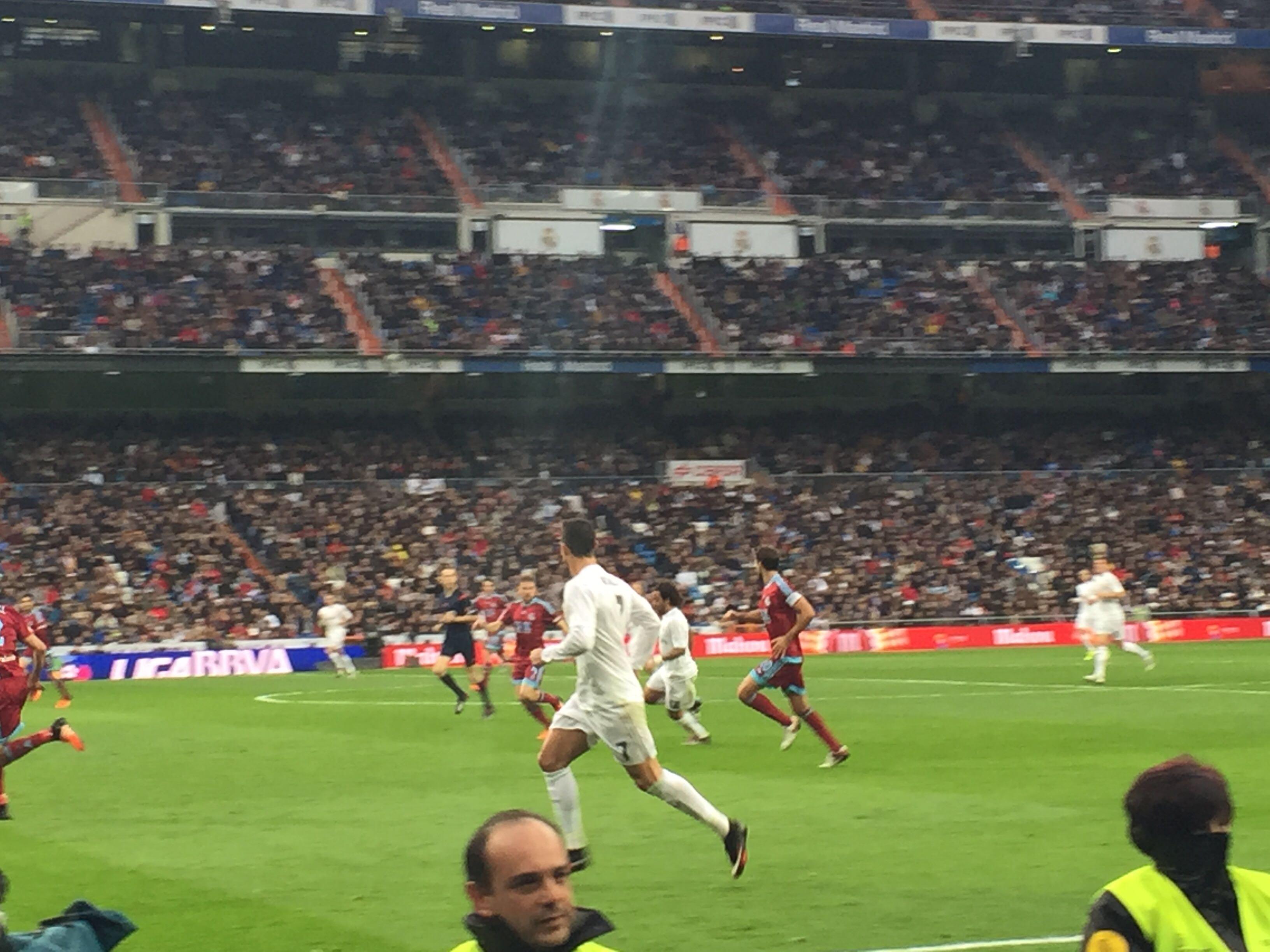 动物油脂精炼设备